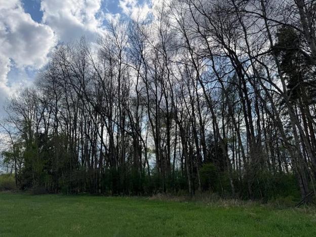 Prodej pozemku, Třeboň, 14477 m2