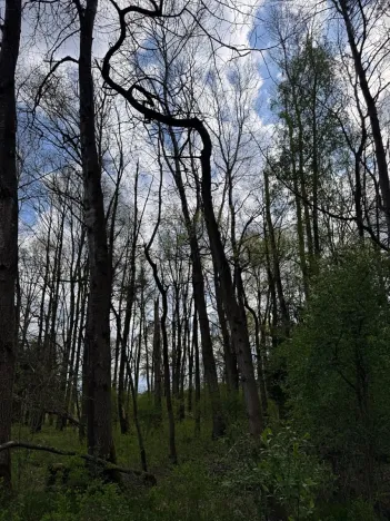 Prodej pozemku, Třeboň, 14477 m2
