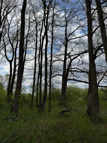Prodej pozemku, Třeboň, 14477 m2