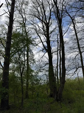 Prodej pozemku, Třeboň, 14477 m2