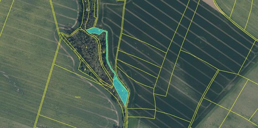 Prodej lesa, Mělnické Vtelno, 14092 m2