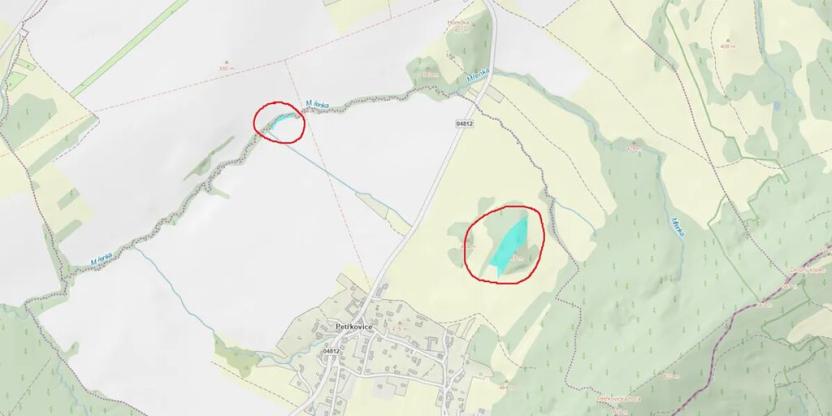 Prodej lesa, Starý Jičín, 12582 m2