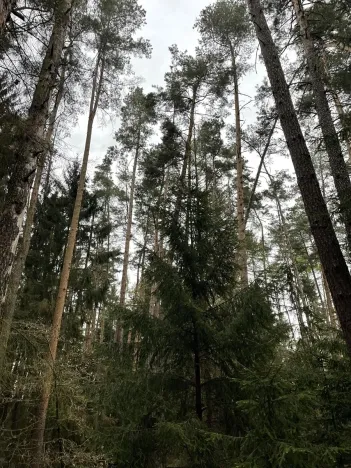 Prodej pozemku, Hradiště, 9237 m2