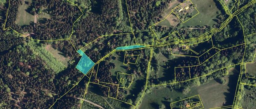 Prodej lesa, Krásná, 3677 m2