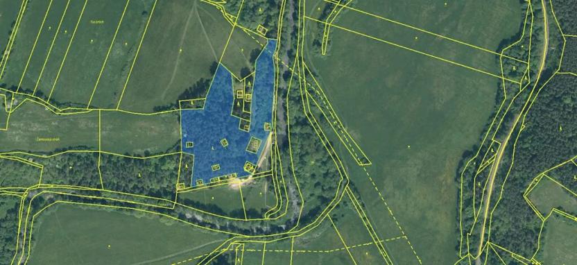 Prodej podílu lesa, Malenice, 3819 m2