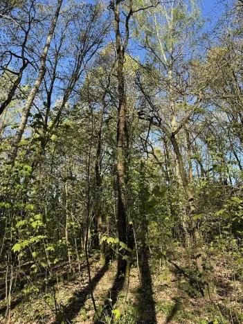 Prodej pozemku, Čížkov, 24151 m2