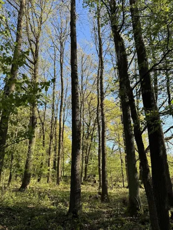 Prodej pozemku, Čížkov, 24151 m2