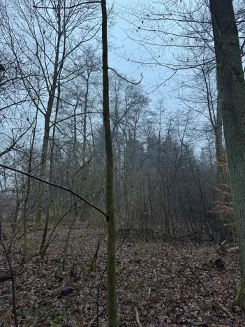 Prodej pozemku, Třebechovice pod Orebem, 14875 m2