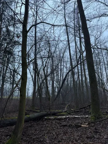 Prodej pozemku, Třebechovice pod Orebem, 14875 m2