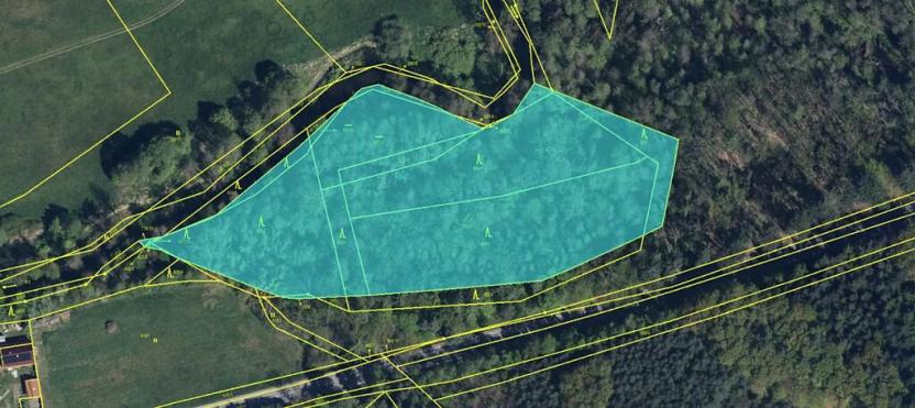 Prodej pozemku, Třebechovice pod Orebem, 14875 m2