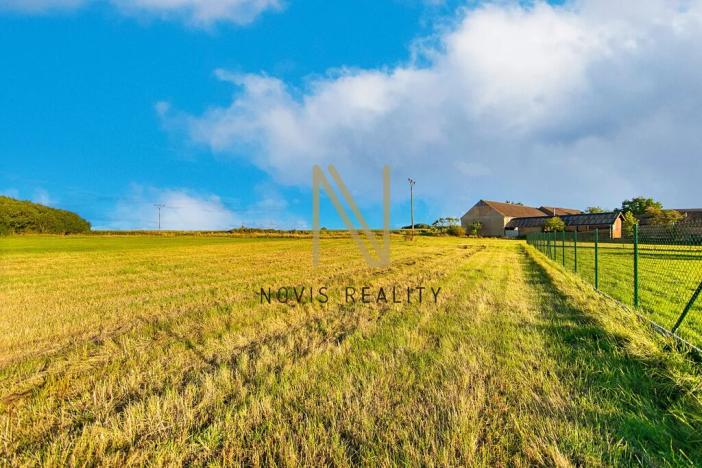 Prodej pozemku pro bydlení, Puclice, 3058 m2