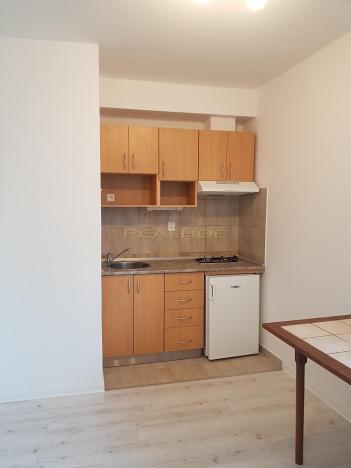 Pronájem bytu 1+kk, Brno - Lesná, Seifertova, 20 m2