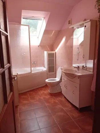 Prodej skladu, Hanušovice, 891 m2