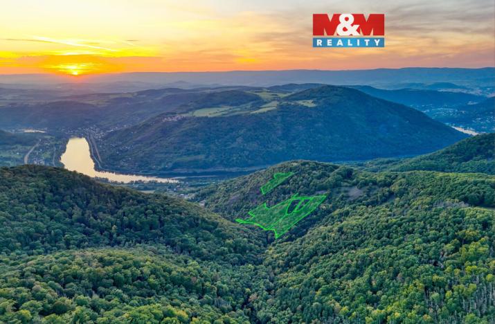 Prodej lesa, Ústí nad Labem - Sebuzín, 23067 m2