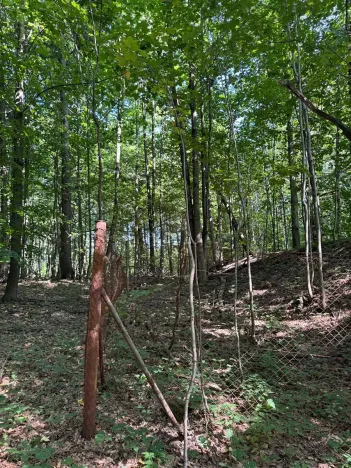 Prodej podílu lesa, Liberk, 5585 m2