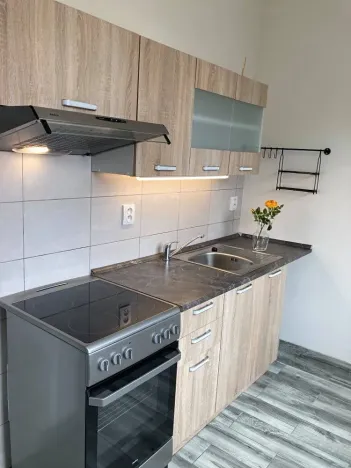 Pronájem bytu 2+1, Chomutov, Cihlářská, 52 m2