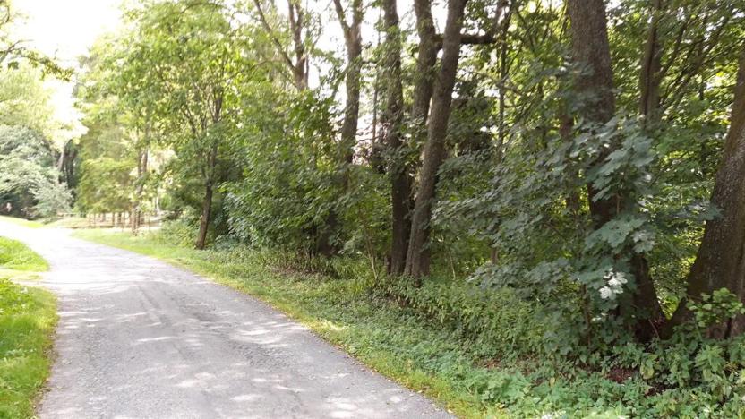 Prodej pozemku pro bydlení, Norberčany, 4958 m2