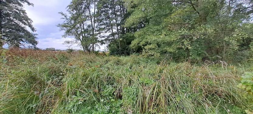 Prodej zahrady, Borek, 3737 m2