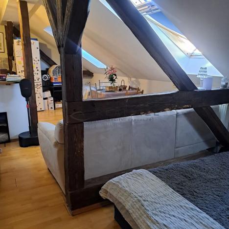 Pronájem bytu 1+kk, České Budějovice, Lipenská, 36 m2