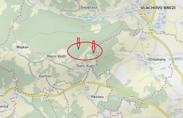 Prodej podílu lesa, Vlachovo Březí, 1357 m2