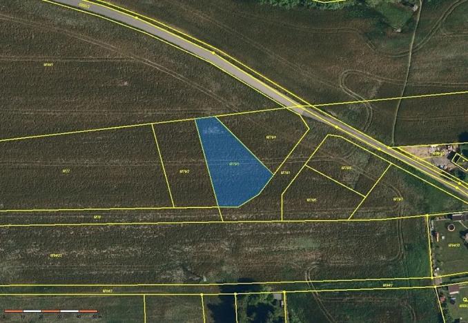 Dražba pole, Staré Město, 1127 m2