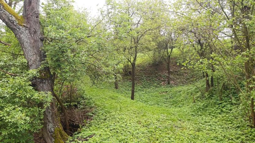 Prodej zahrady, Rohle, 1514 m2