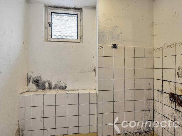 Prodej rodinného domu, Nová Ves - Nové Ouholice, 158 m2