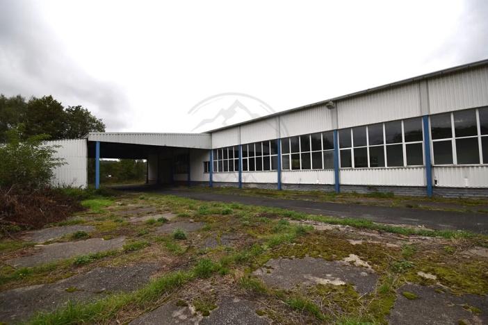 Pronájem výrobních prostor, Česká Ves, Polská, 2190 m2