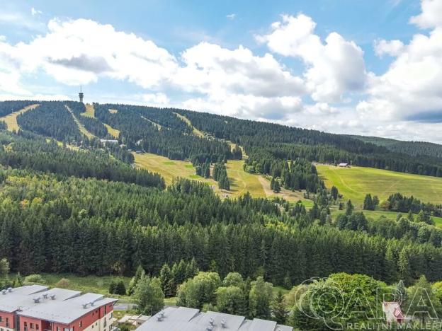 Prodej rodinného domu, Loučná pod Klínovcem, 195 m2