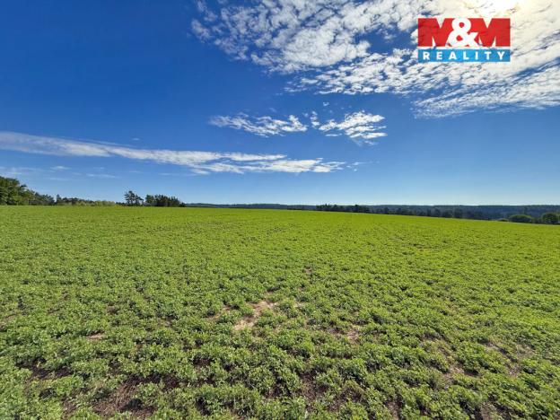 Prodej pole, Dobronice u Bechyně, 9873 m2