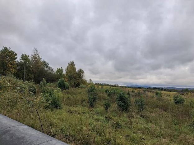 Prodej komerčního pozemku, Chodov, Nejdecká, 3546 m2