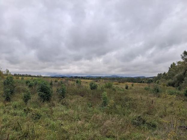 Prodej komerčního pozemku, Chodov, Nejdecká, 3546 m2