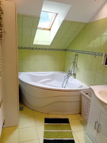 Prodej výrobních prostor, Hanušovice, 891 m2