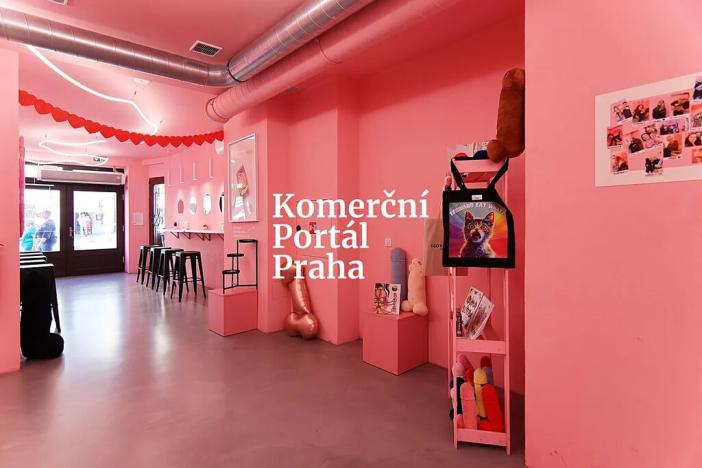 Pronájem restaurace, Praha - Malá Strana, Karmelitská, 259 m2