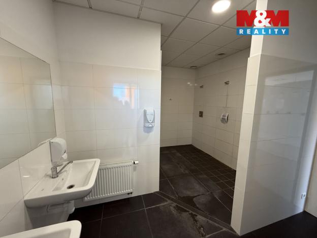 Pronájem výrobních prostor, Brandýs nad Labem-Stará Boleslav - Stará Boleslav, Nad cihelnou, 7860 m2