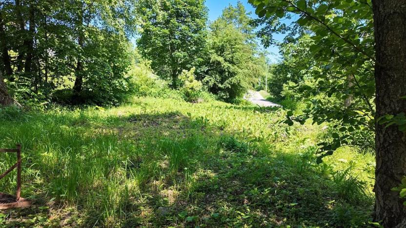 Prodej pozemku pro bydlení, Rokytnice v Orlických horách, 271 m2