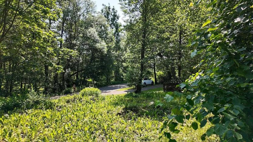 Prodej pozemku pro bydlení, Rokytnice v Orlických horách, 271 m2