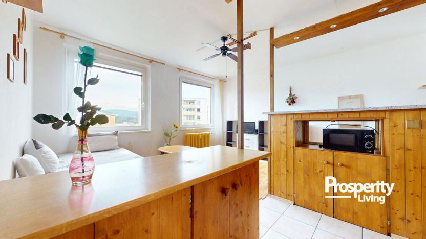 Prodej bytu 2+kk, Ústí nad Labem - Krásné Březno, Žežická, 48 m2