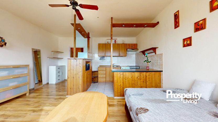 Prodej bytu 2+kk, Ústí nad Labem - Krásné Březno, Žežická, 48 m2