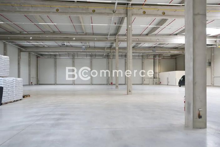 Pronájem skladu, Hrušovany u Brna, Vodní, 2988 m2