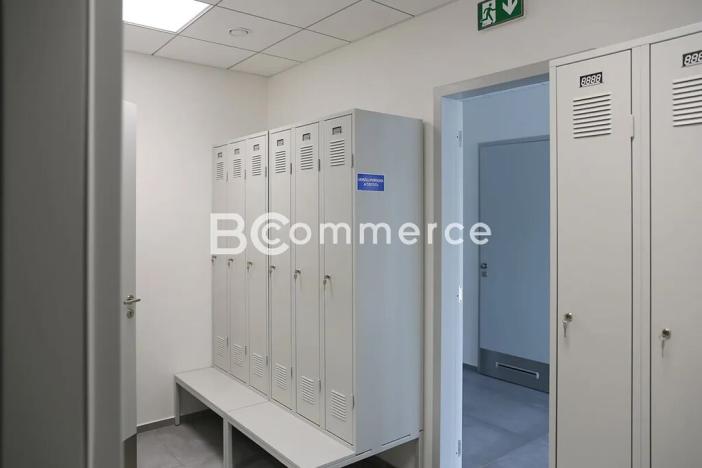 Pronájem skladu, Hrušovany u Brna, Vodní, 2988 m2