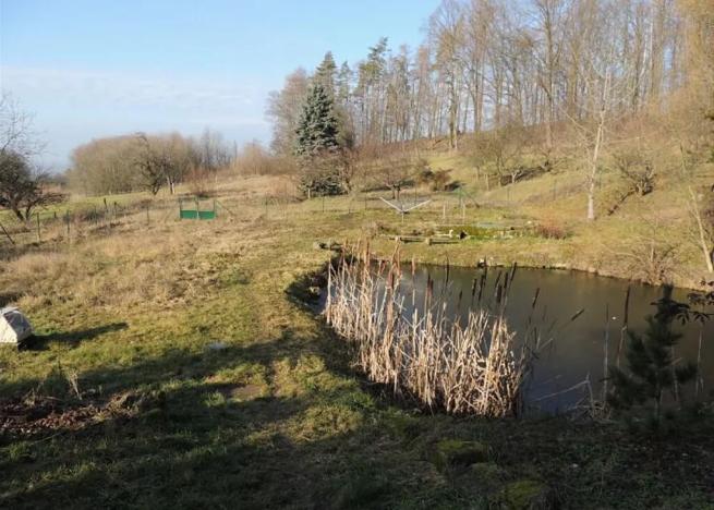 Prodej rodinného domu, Mladějov, 215 m2