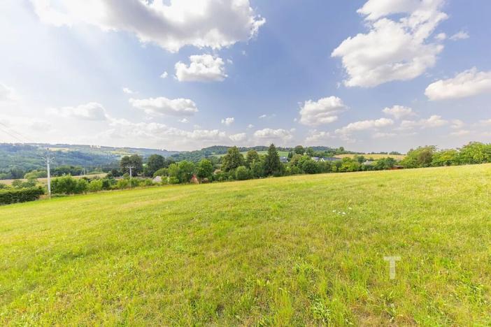 Prodej pozemku pro bydlení, Kunštát, 12345 m2