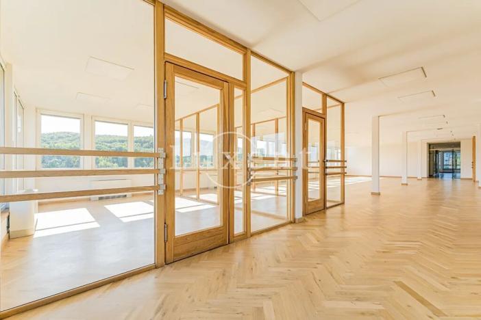 Pronájem kanceláře, Praha - Košíře, Jinonická, 257 m2