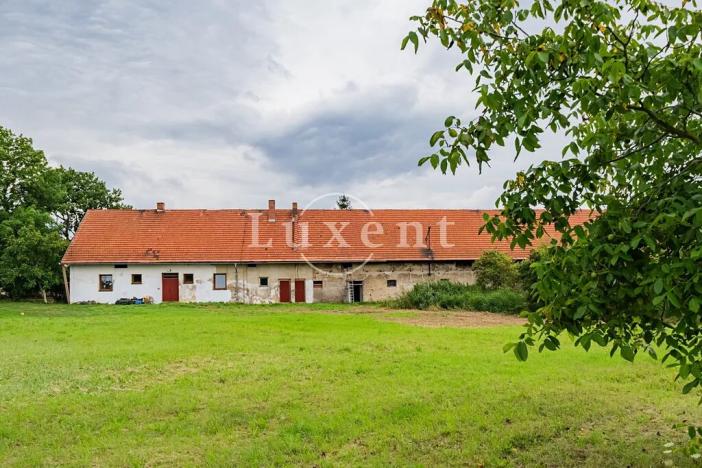 Prodej zemědělské usedlosti, Běrunice, 600 m2