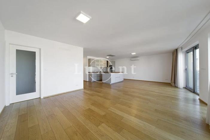 Pronájem bytu 4+kk, Plzeň, Šafaříkovy sady, 195 m2