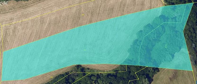 Prodej pole, Miřetice, 13002 m2