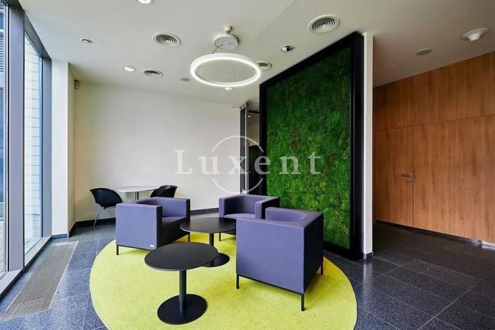 Pronájem kanceláře, Praha, Radlická, 516 m2