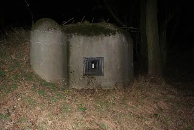 Dražba pole, Dolní Lutyně, 50016 m2