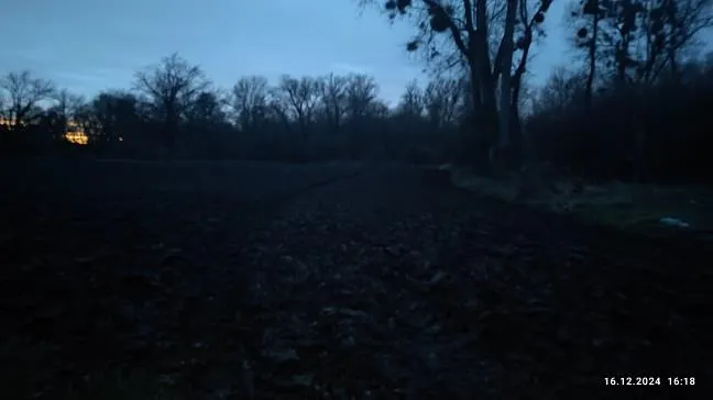 Dražba pole, Dolní Lutyně, 50016 m2